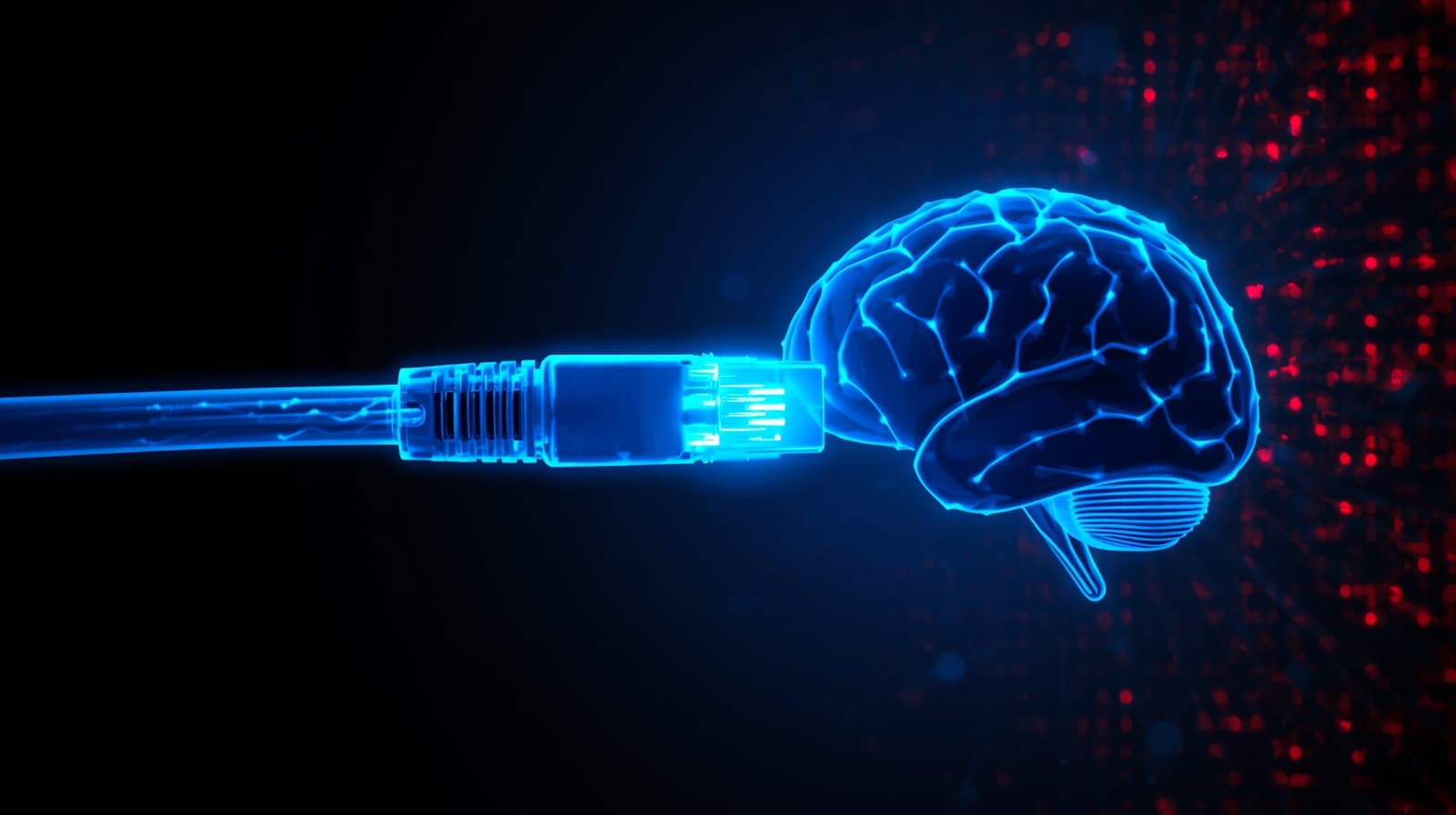 An ethernet cable plugged into a router